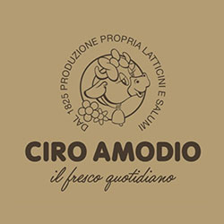logo-ciro-amodio